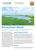 Chennai's Disappearing Wetlands