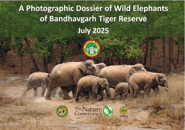 A photographic dossier of wild elephants at Bandhavgarh Tiger Reserve.