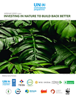 Investing in Nature to Build Back Better