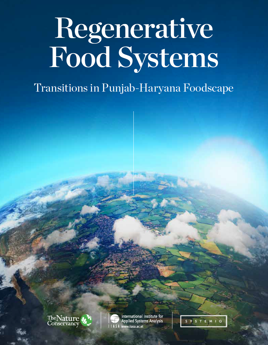 Transitions in Punjab-Haryana Foodscape